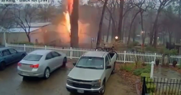 Lightning Bolt Splits A Tree In Half