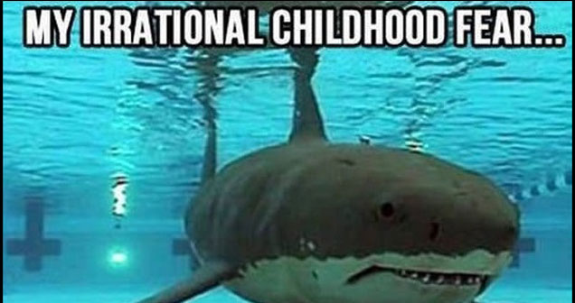 a nostalgia meme with a  shark in a swimming pool