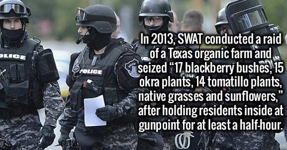 le swat - Tolice In 2013, Swat conducted a raid of a Texas organic farm and seized