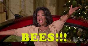 gifs - oprah bees