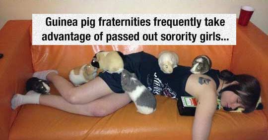 Shitty Animal Facts That Don't Make Any Sense 