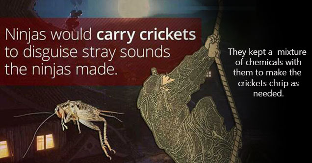 wtf facts - Factoid - Ninjas would carry crickets to disguise stray sounds the ninjas made. They kept a mixture of chemicals with them to make the crickets chirp when needed.