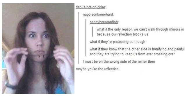 tumblr - if you re the reflection - allthefandomfeelings moonflowerlights danisnotonphire napoleonbonerhard sassyhorseradish what if the only reason we can't walk through mirrors is because our reflection blocks us what if they're protecting us though wha