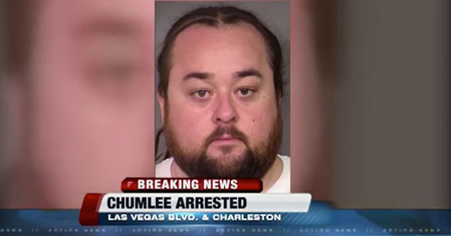 pawn stars chumlee plead guilty
