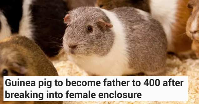 17 people that have made terrible mistakes