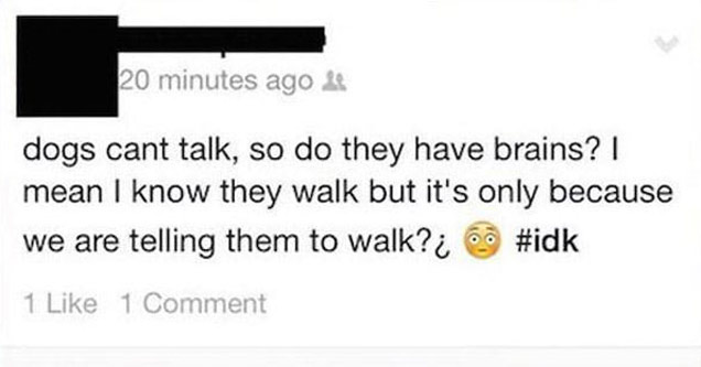 dumbest facebook posts - 20 minutes ago 24 dogs cant talk, so do they have brains? | mean I know they walk but it's only because we are telling them to walk?i 1 1 Comment Comment