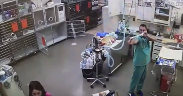 Instant Karma 2016 Compilation 