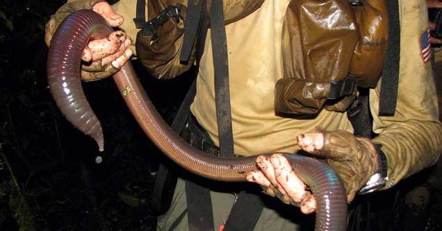 23 Images That Are Truly WTF