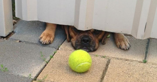 24 Signs That Today Just Isn’t Your Day