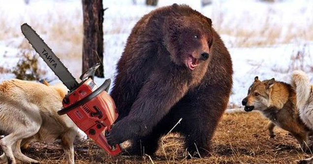 Hilarious Photoshop Of Animals With Their Weapons Of Choice
