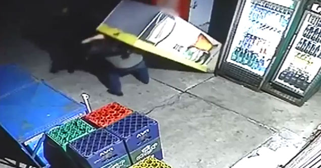 idiot thief pulls drink machine over on himself