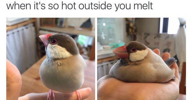 A Fresh Batch Of Randoms To Start Your Day With 