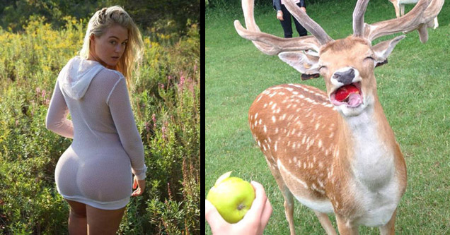 iskra lawrence sex | happy deer