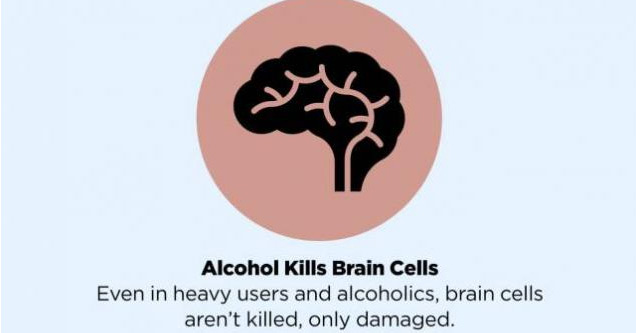 diagram - Alcohol Keeps You Warm It merely dilates warm blood vessels near the skin, creating the impression of warmth. It can actually drop core body temperature.