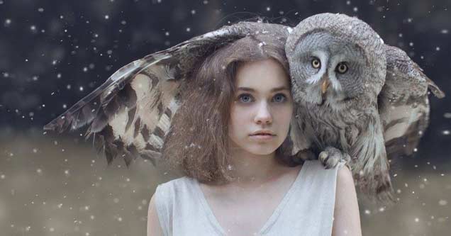 owl girl photography