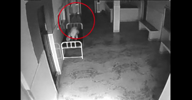 CCTV Captures A Ghost Leaving Its Dead Body - Creepy Video | eBaum's World