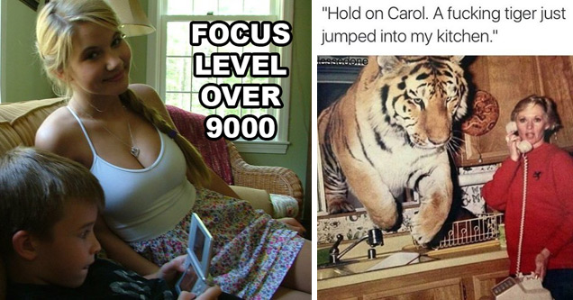 extreme make over - Focus Level Over 9000 | hold on carol a tiger -