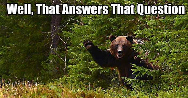 bear waving from behind a bush