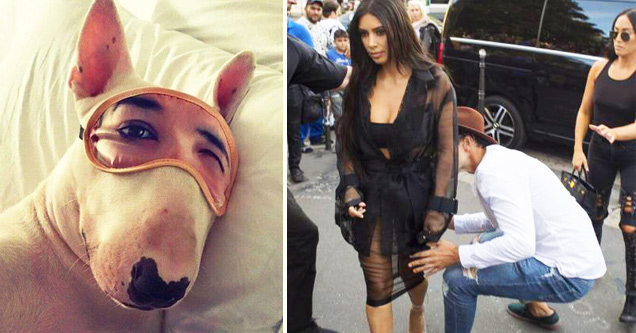 dog with sleep mask and person crouching behind kim kardashian