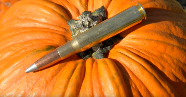 .50 BMG Vs. Pumpkins: How Many Will it  Kill In One Shot?