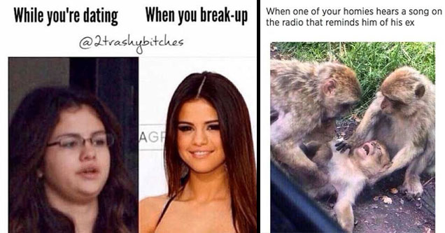 19 Of The Best Memes For When You Get Dumped Funny Gallery Ebaums World 