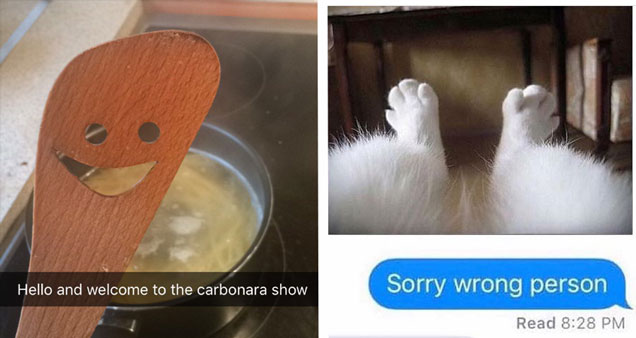 Hello and welcome to the carbonara show