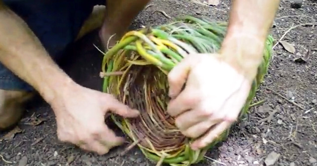 Guy Displays How To Survive If Stranded By A Water Source