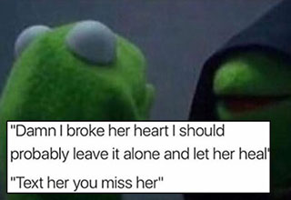 Some of these may hit a little too close to home, and you should feel guilty for that.

</br></br>Interested in the story behind this meme? Check out <a href="http://knowyourmeme.com" style="color:blue">
Know Your Meme's</a> Entry On<a href="http://ebaum.it/2g189lc" style="color:blue">Evil Kermit </a>