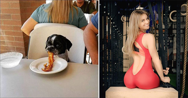 dog eating pasta from a plate and woman in a red bodysuit