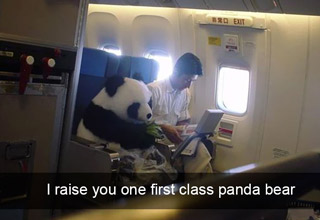 Some of the best and strangest things people have encountered while flying in planes. 