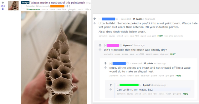 Painbrush that was claimed to be made by Wasps - bs