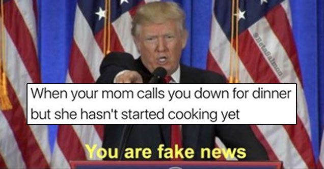 meme - mom fake news - When your mom calls you down for dinner but she hasn't started cooking yet You are fake news Comment 2