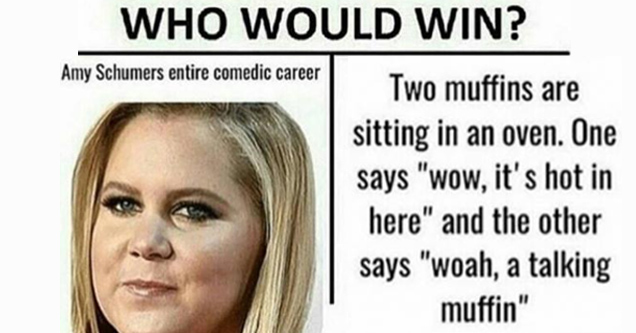 hilarious memes - amy schumer