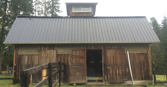 This is what the barn looked like when Hank White originally bought the property.