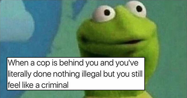 kermit the frog