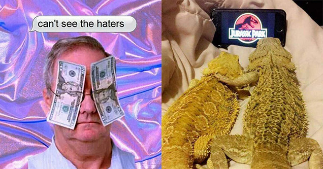 can t see the haters - can't see the haters | lizards watching jurassic park - Jurassic Park