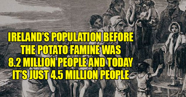 irish potato famine - The word