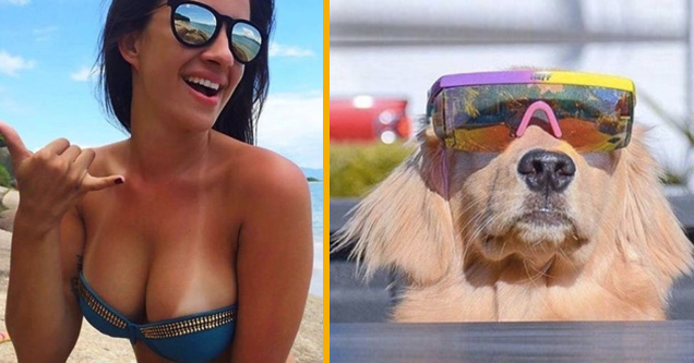 Girl on the beach with glorious tan lines and a dog with 3-d sunglasses being all cool