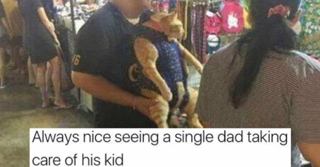 memes- dads and cats meme - Always nice seeing a single dad taking care of his kid