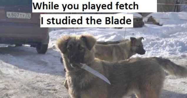 Random pictures | meme of dog with knife and studied the blade catchphrase