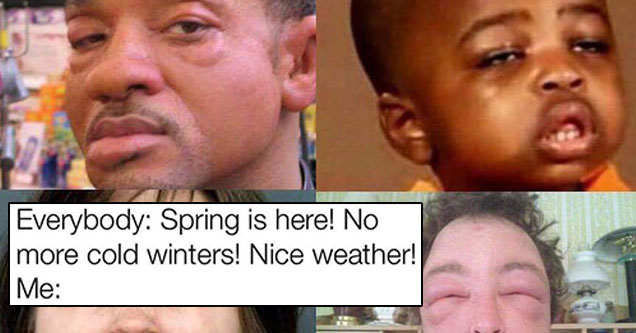 allergy memes - Everybody Spring is here! No more cold winters! Nice weather! Me tommy maverick