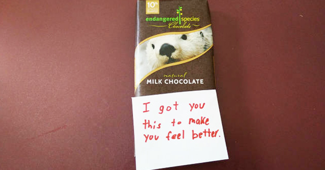 tener un detalle - 10 endangered species Charles A Milk Chocolate I got you this to make you feel better