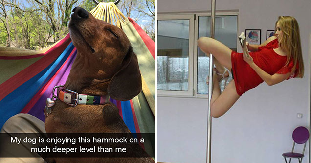 great pics of dog on hammock and hot girl reading book on stripper pole