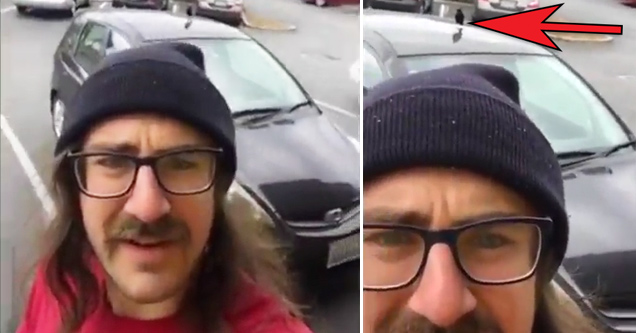 long haired hipster with beanie gets owned by bird