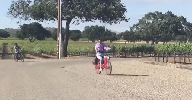 kendal jenner eats shit on her bike