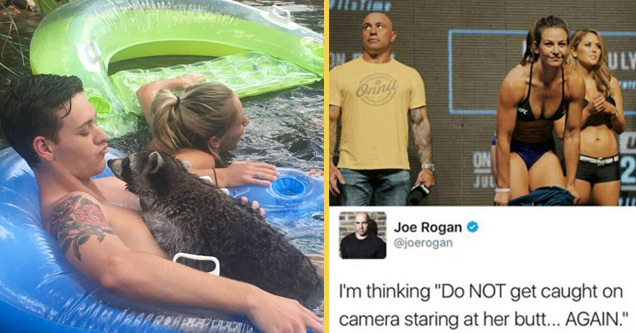 man with racoon in raft and joe rogan on stage trying to not look at female fighters butt