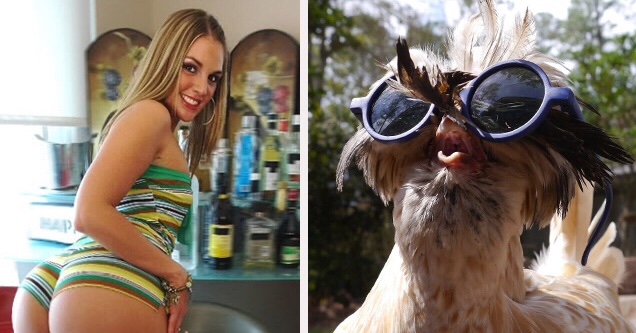 funny pictures of girl wearing outfit and owl with funny glasses - natural thumb