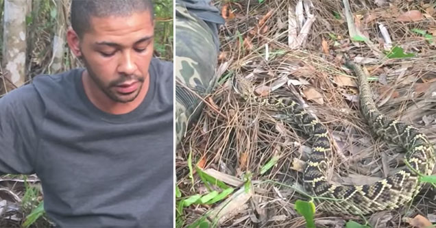 guy remains calm even when a rattle snake slithers into his lap