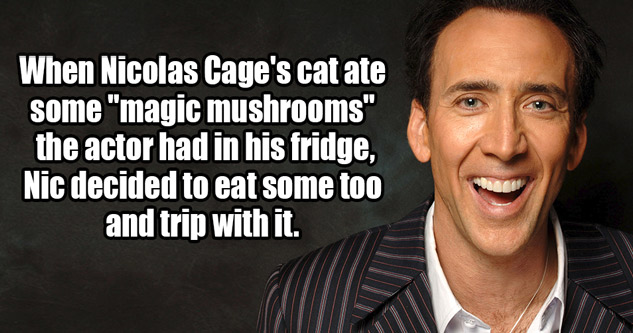 nic cage ate mushrooms after his cat did once