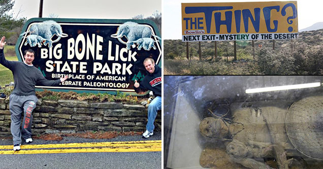 WTF Landmarks from every state in the USA | big bone lick state park - Big Bonete Llick State Park Birthplace Of American Ebrate Paleontology | thing in new mexico - The Hinco Bowlin's Next ExitMystery Of The Desert